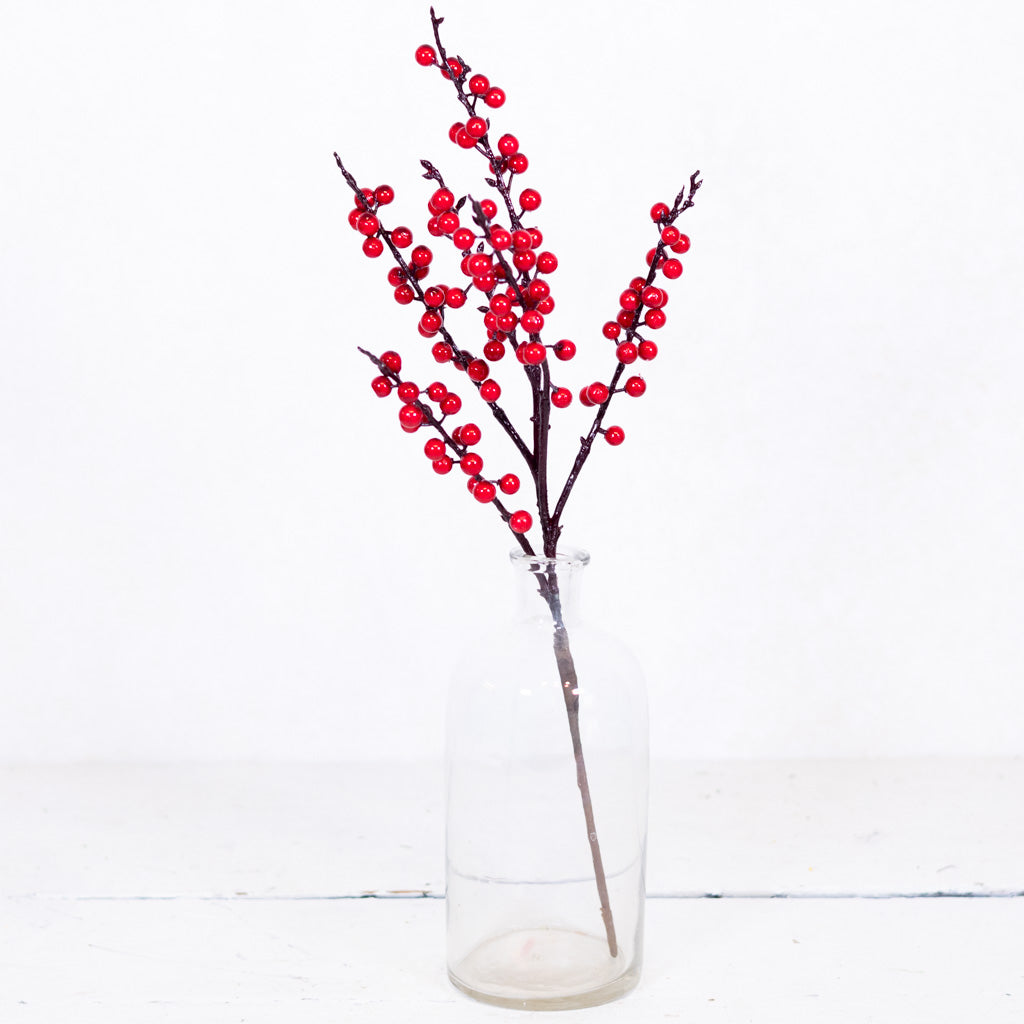 Ilex Red Berry Pick