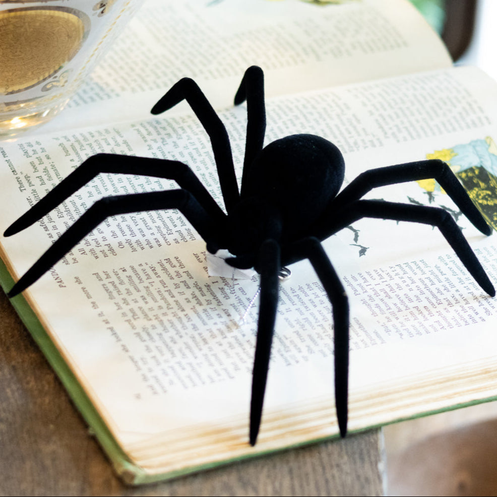 Flocked Black Plastic Spider