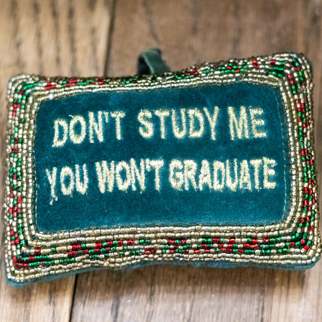 Cotton Velvet Pillow "Don't Study Me You Won't Graduate"