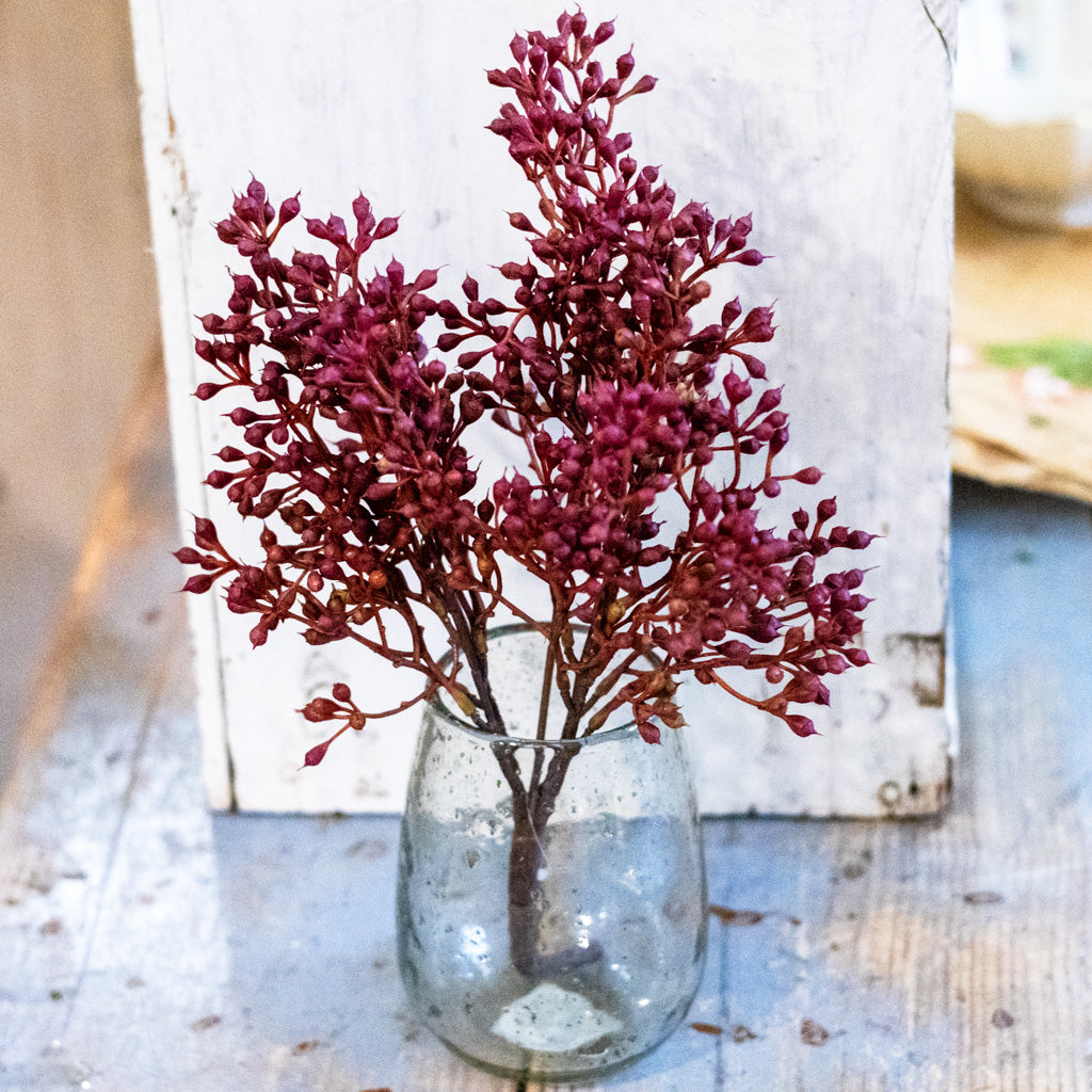 Rust Seed Bush