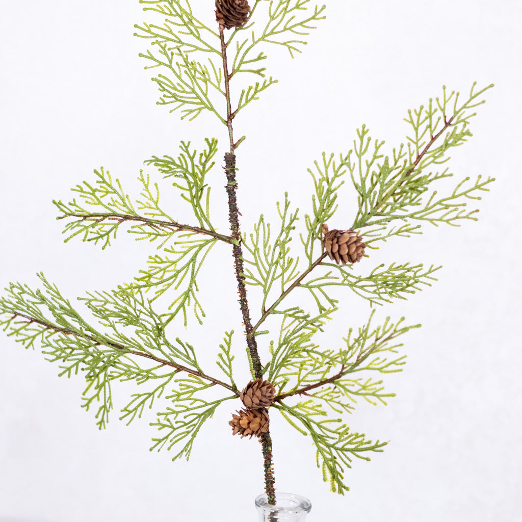 Soft Touch Cedar Spray