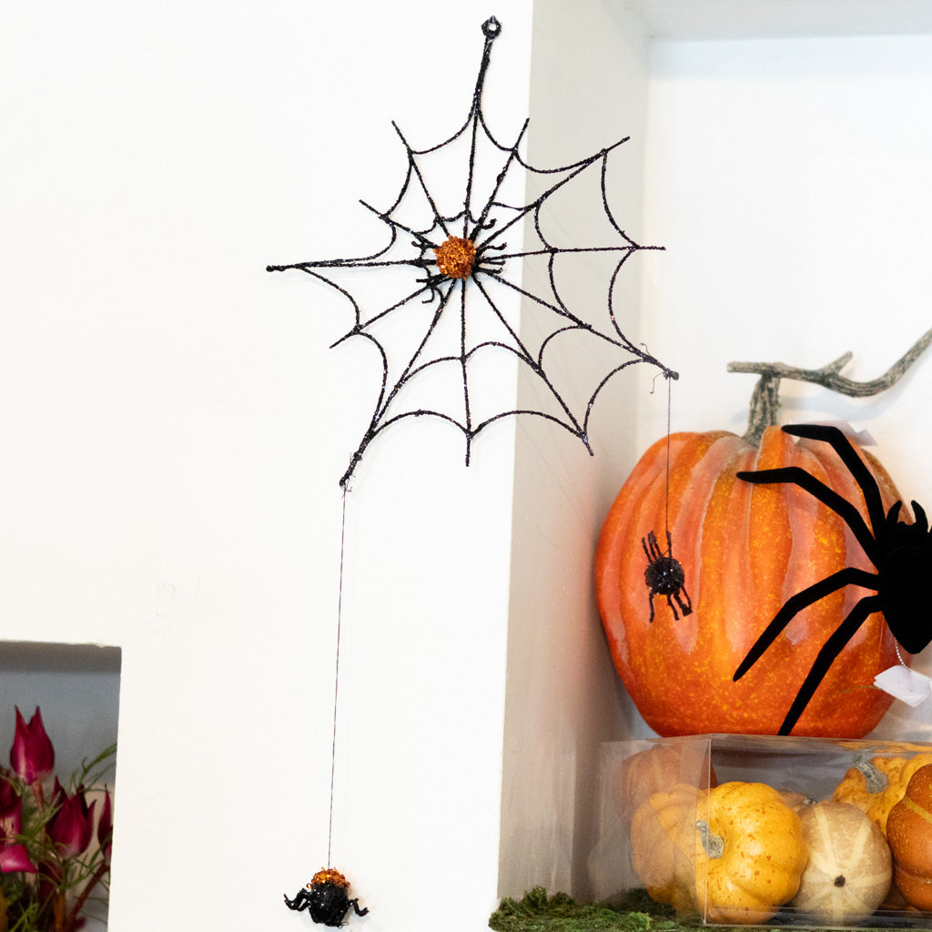 Large Spider Web