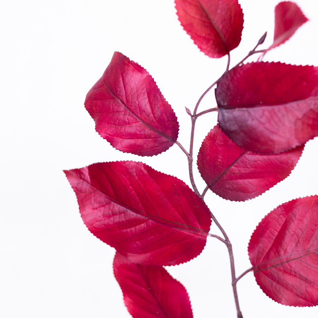 Autumn Salal Leaf Burgundy Spray