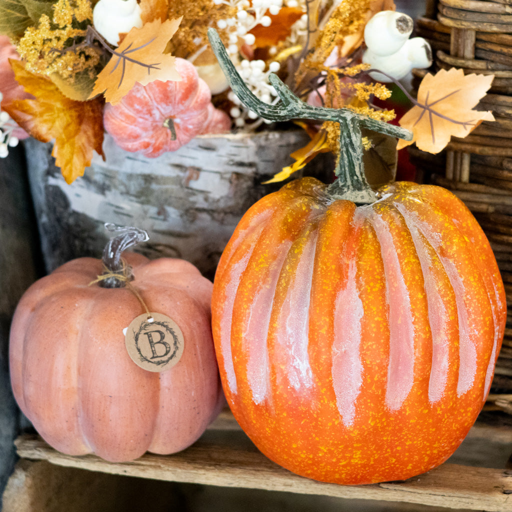 Hybrid Pumpkin with Stem