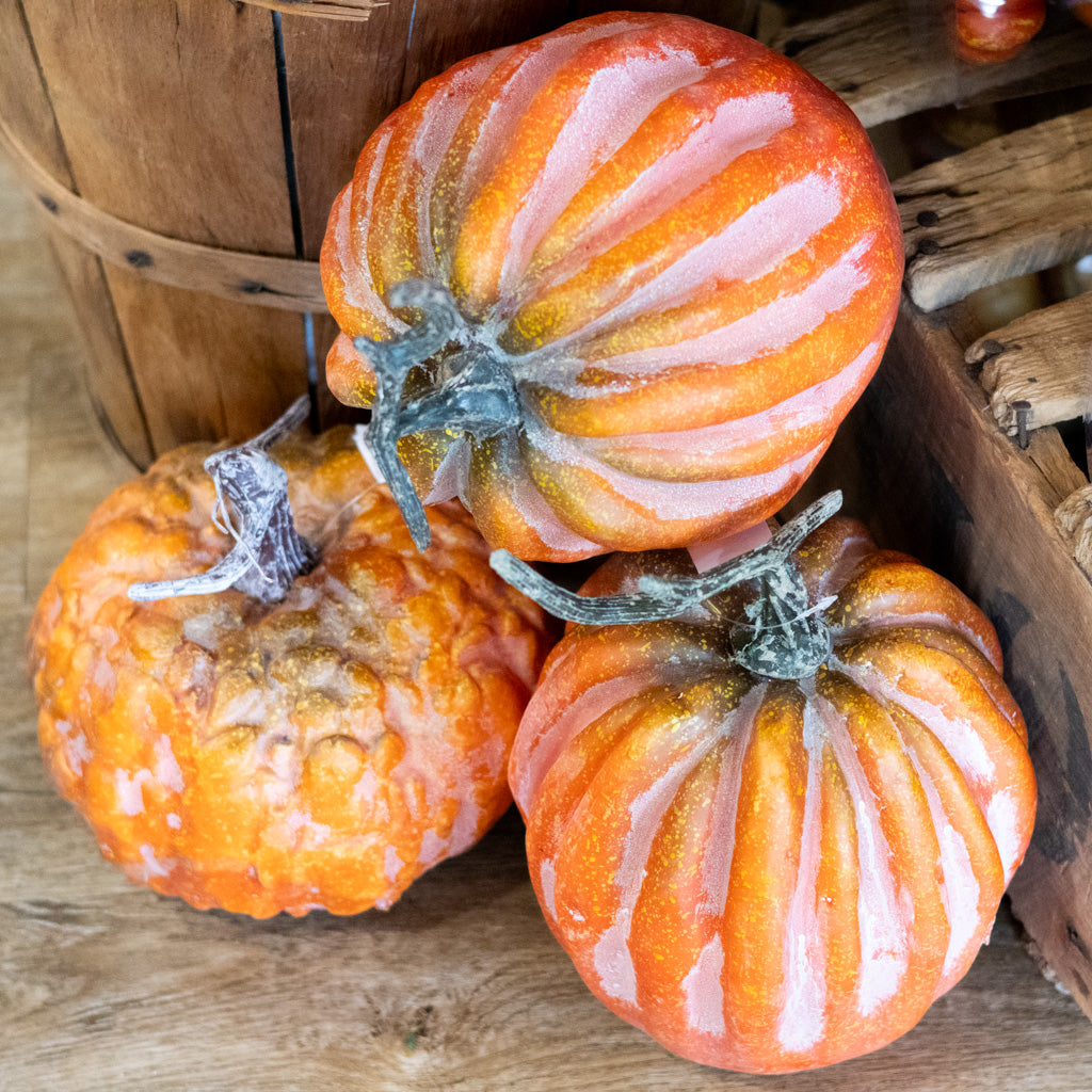 Hybrid Pumpkin with Stem