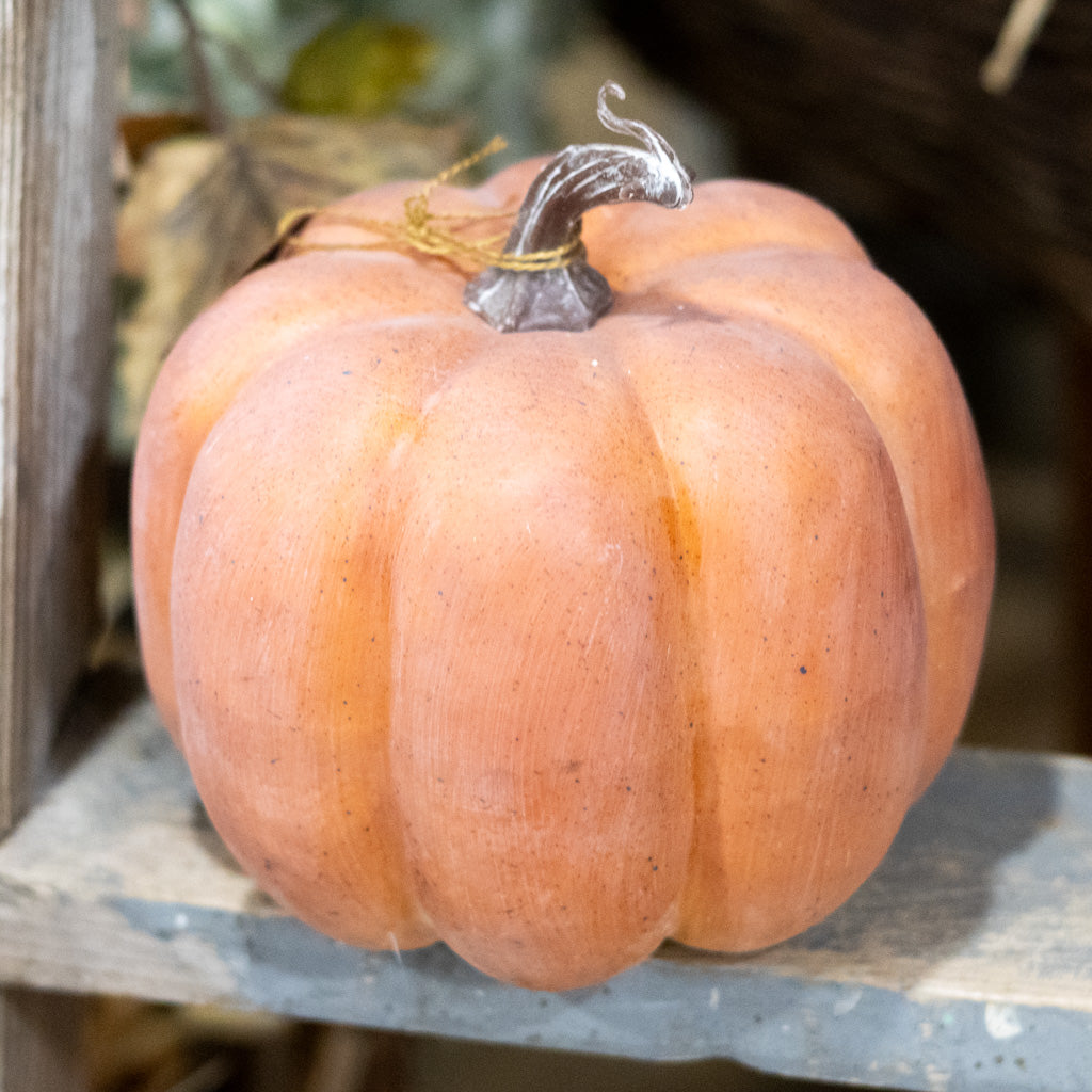 Weathered Latex Pumpkin with Vine
