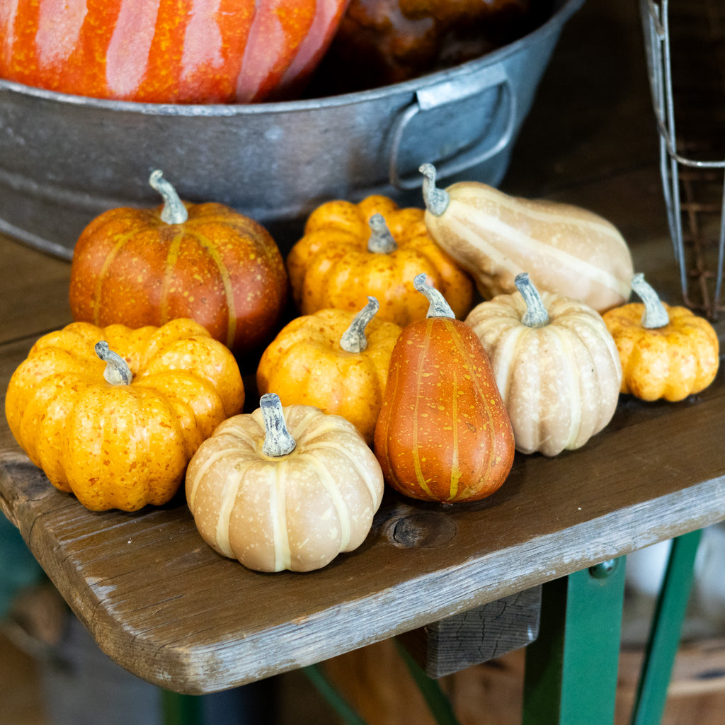 Box of Nine Pumpkin Mixed Assortment