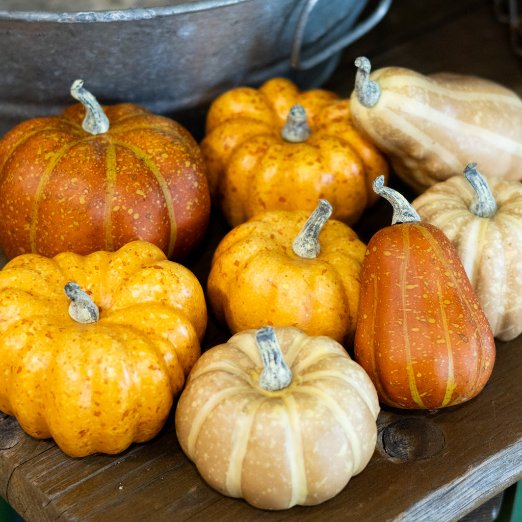Box of Nine Pumpkin Mixed Assortment
