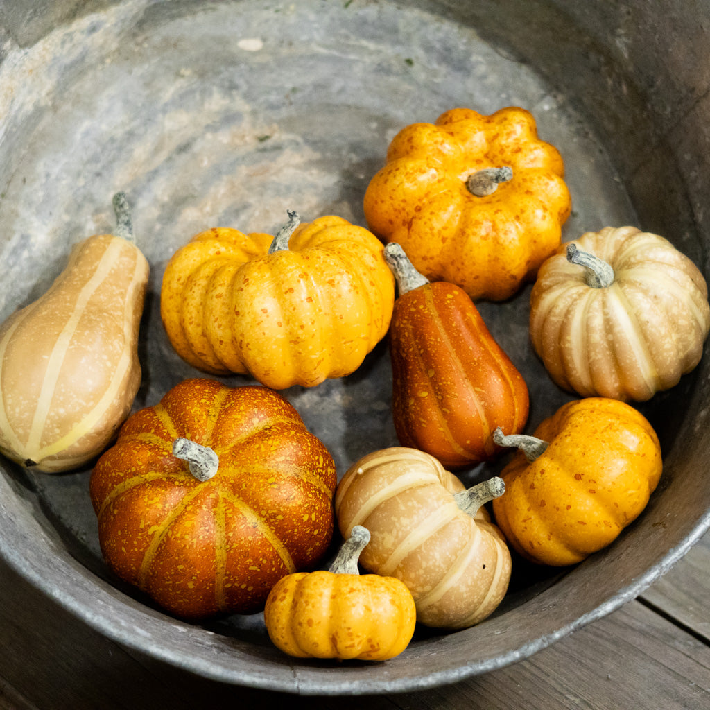 Box of Nine Pumpkin Mixed Assortment