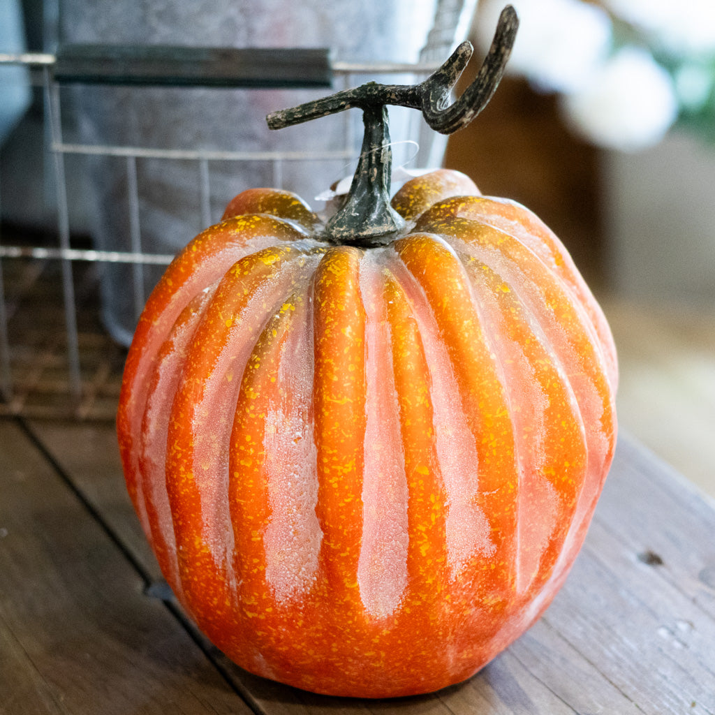 Hybrid Pumpkin with Stem