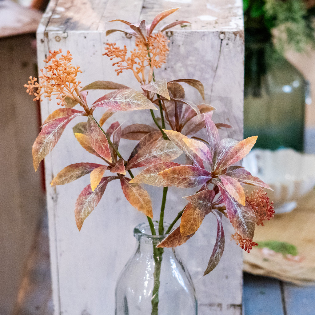 Seeding Cluster Green Burgundy Foliage Spray