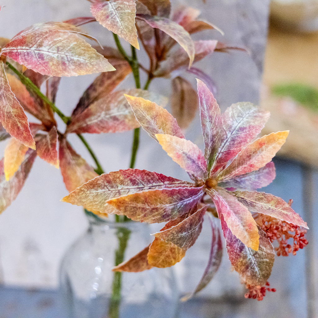 Seeding Cluster Green Burgundy Foliage Spray