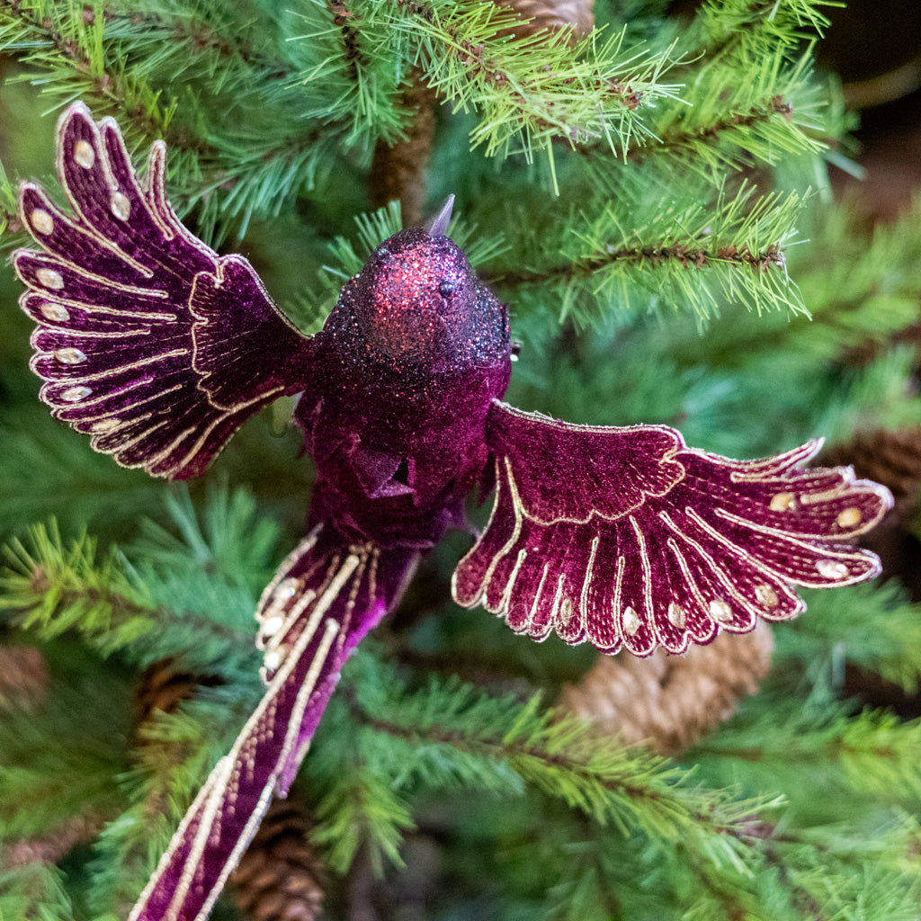 Wine Velvet with Gold Sequins Bird Clip Ornament