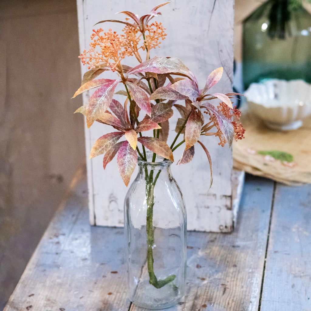 Seeding Cluster Green Burgundy Foliage Spray
