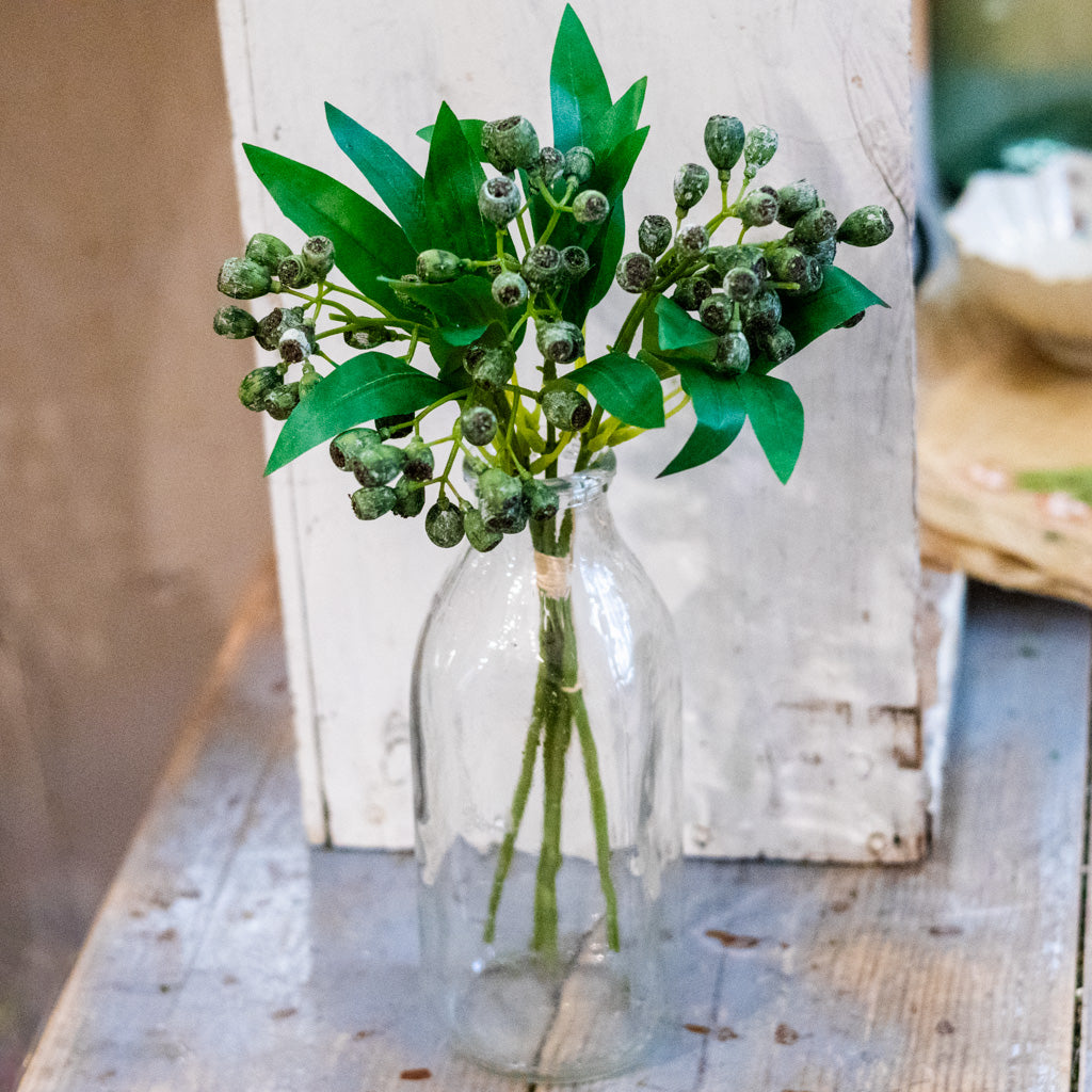 Crater Berry Green Bundle