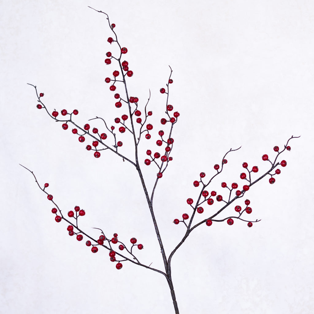 Wild Currant Red Berry Spray