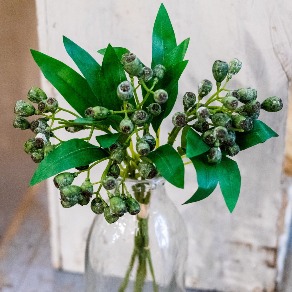 Crater Berry Green Bundle