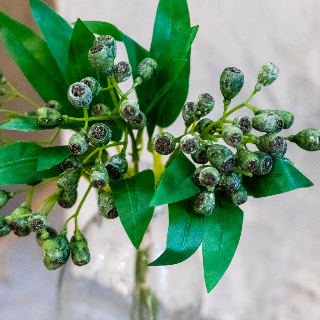 Crater Berry Green Bundle