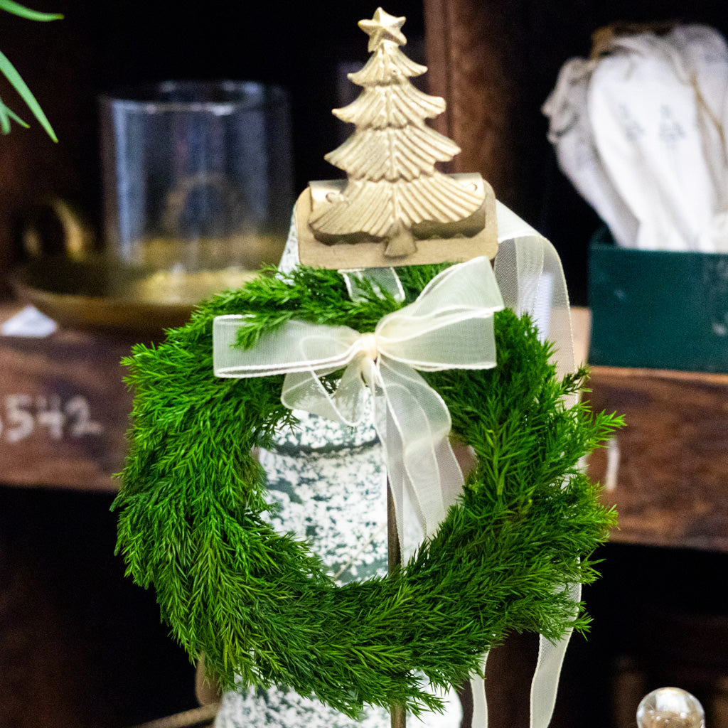 Preserved Cypress Wreath with Ribbon