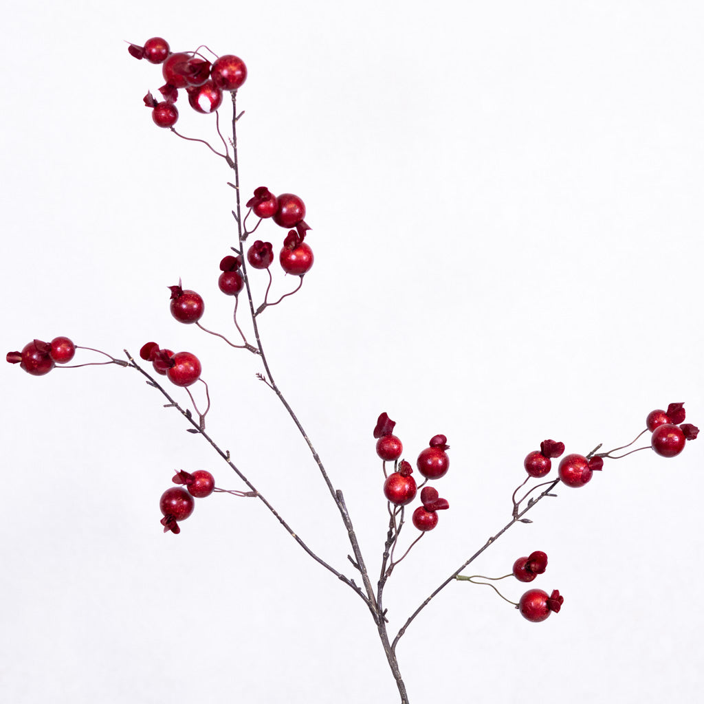 Pomegranate Red Spray