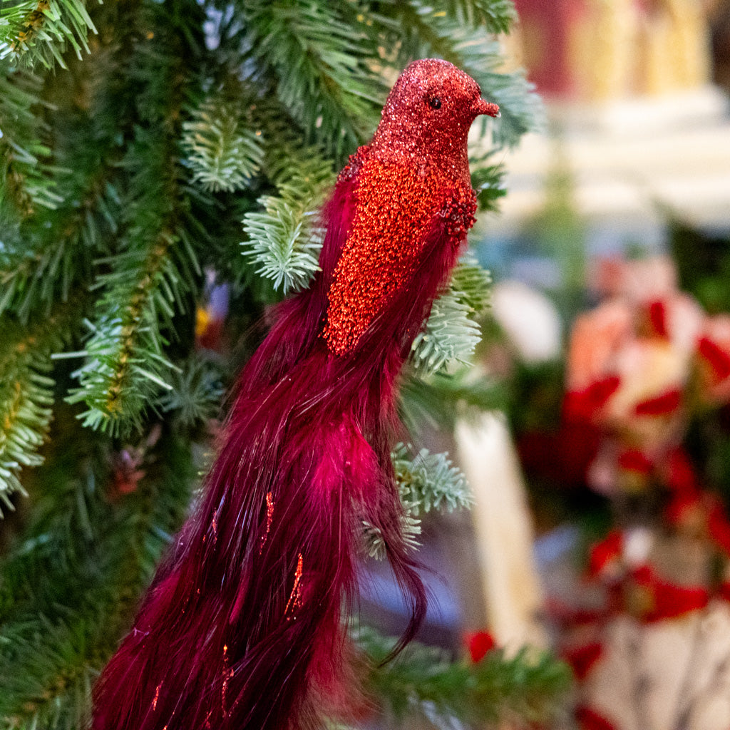 Wine Burgundy Feather Bird