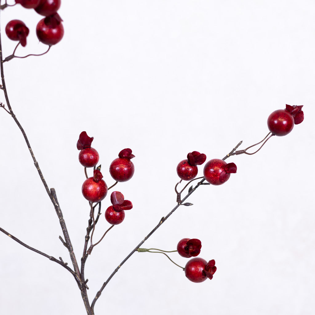 Pomegranate Red Spray