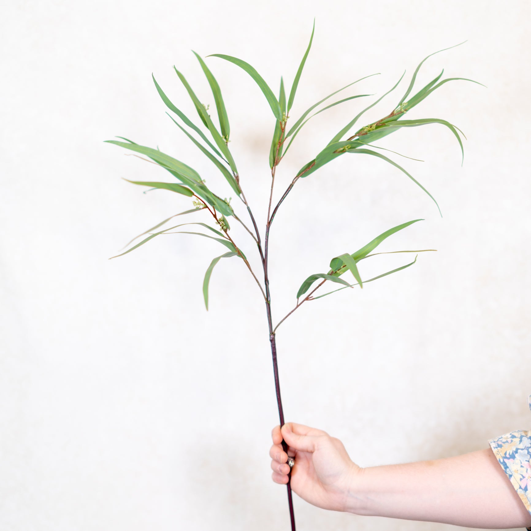 Seeded Needle Eucalyptus Spray Stem