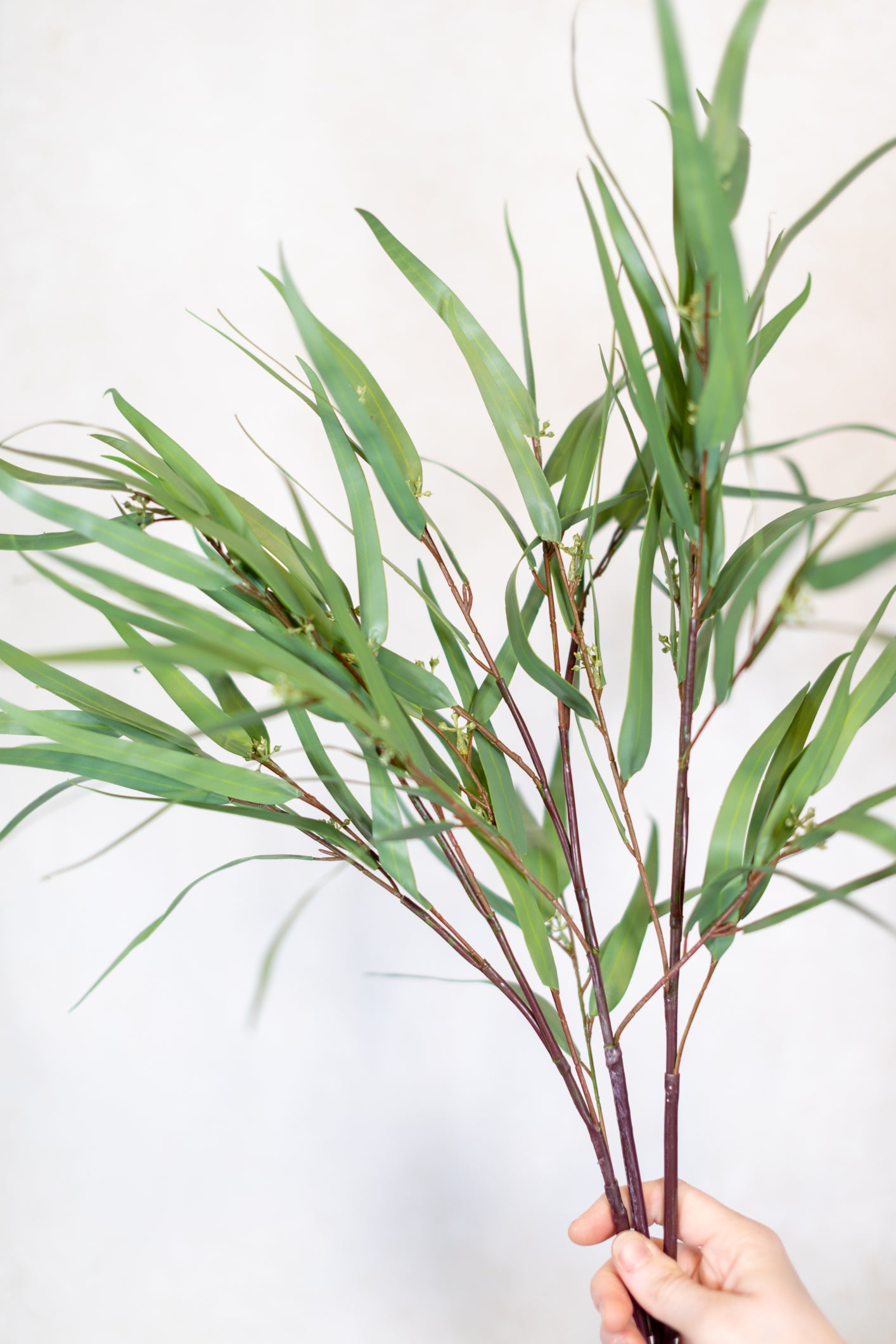 Seeded Needle Eucalyptus Spray Stem