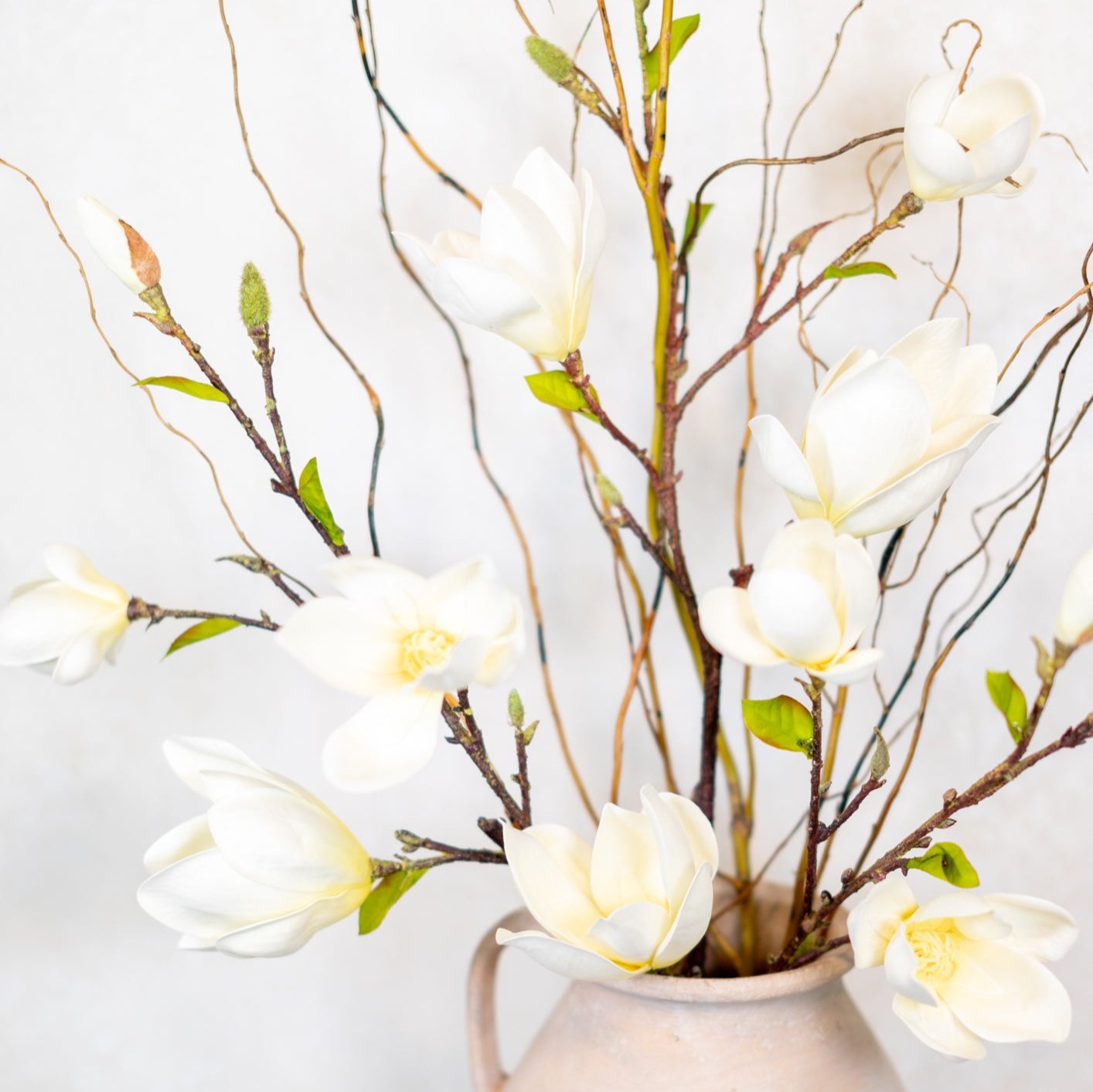 Saucer Magnolia Spray White