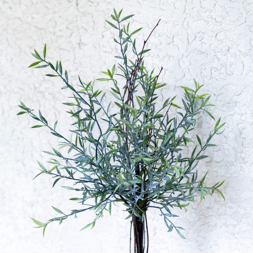 Needle Leaf Topiary