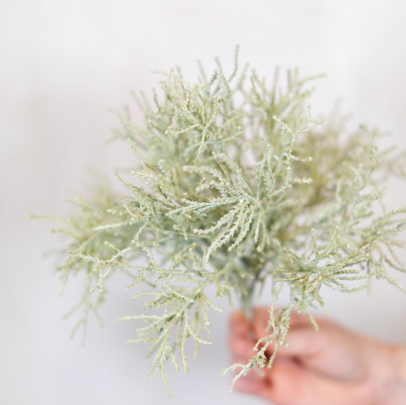 Spanish Moss Bush Green Gray Stem