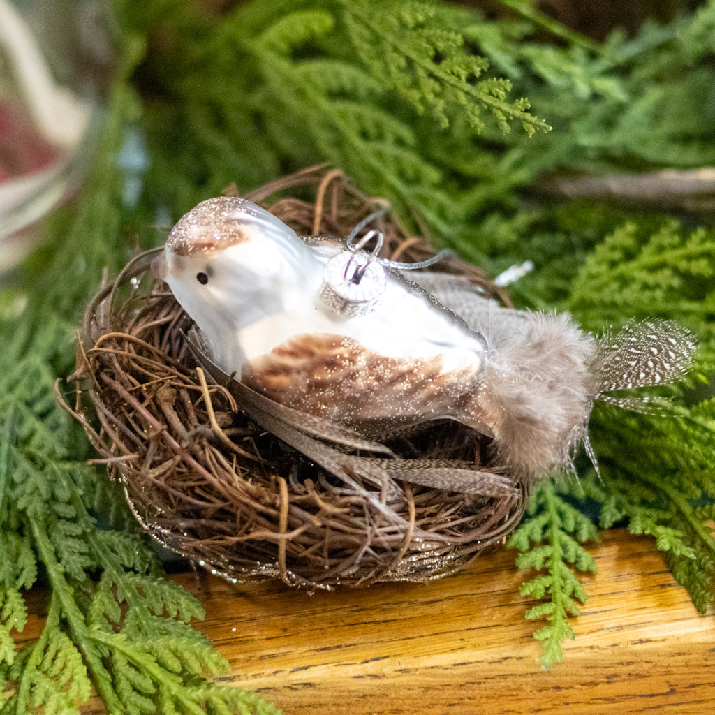 Mercury Glass Bird with Feather Ornament