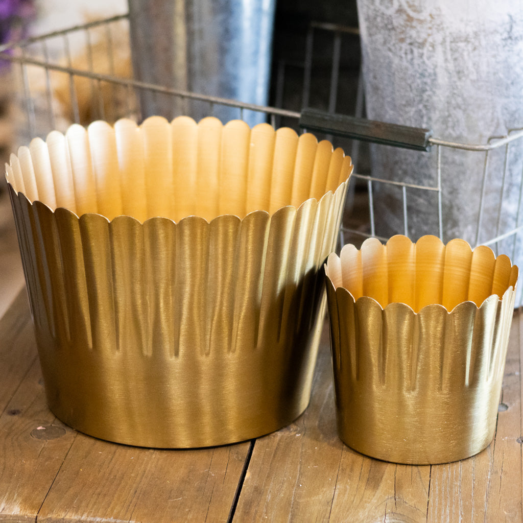 Delicata Gold Pot Small