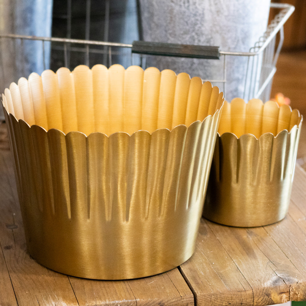 Delicata Gold Pot Large