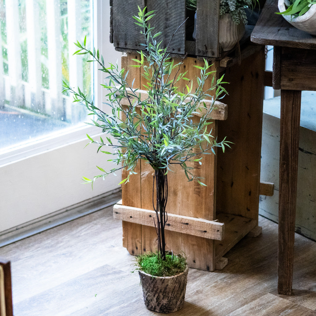 Needle Leaf Topiary