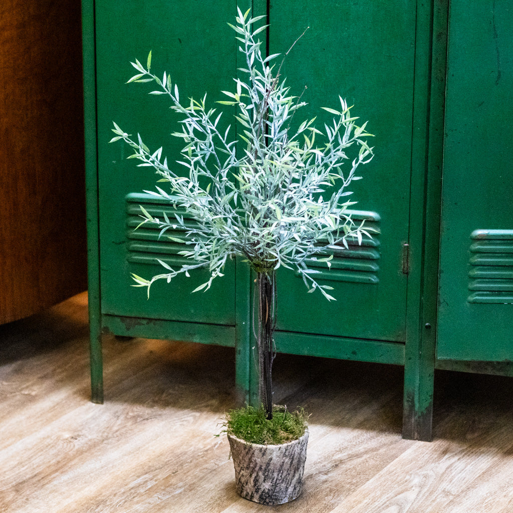Needle Leaf Topiary