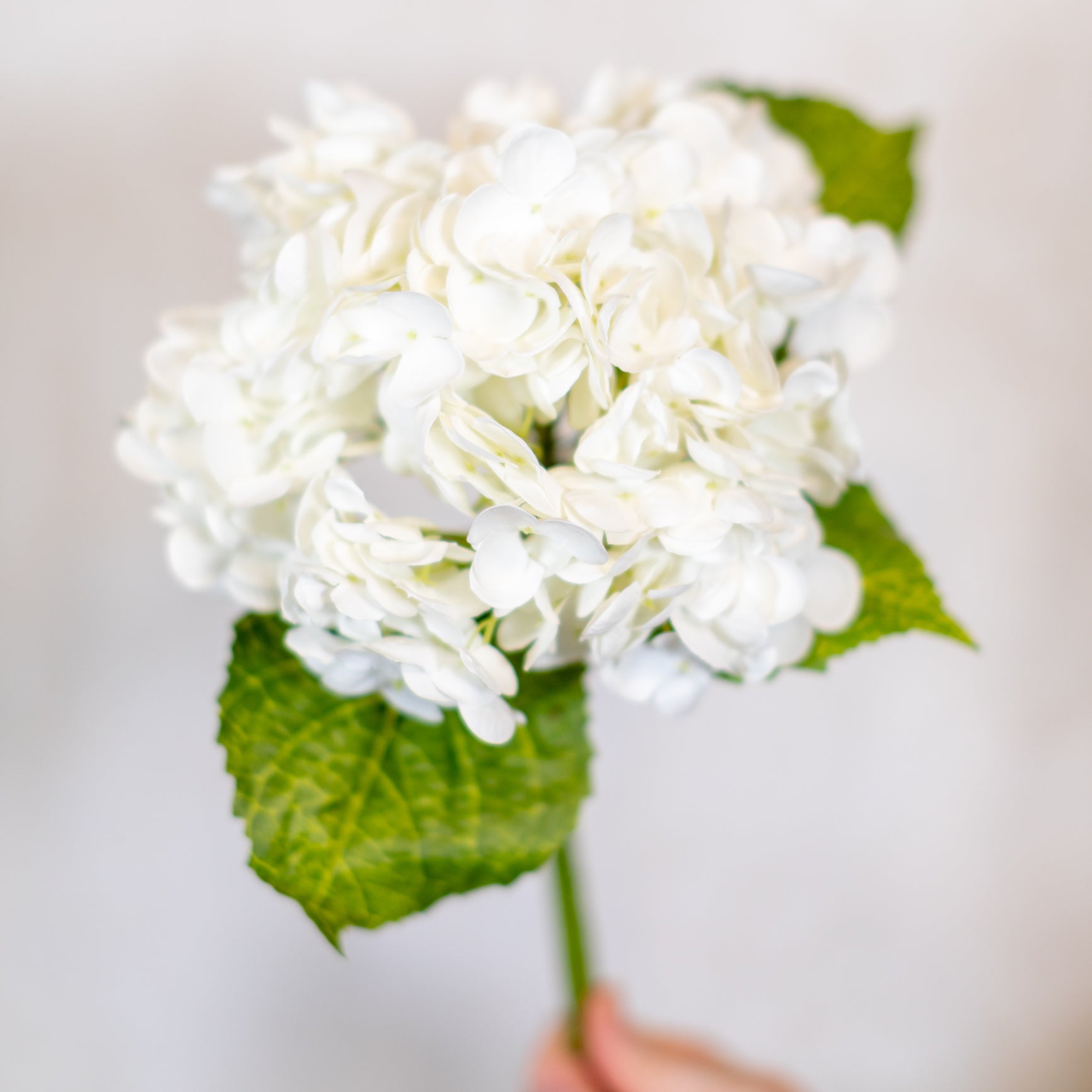 Real Touch Hydrangea Single Stem White