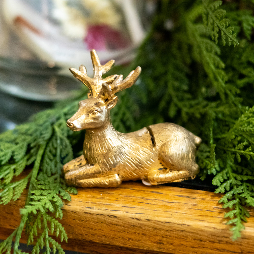 Enchanted Critter Name Card  Holder