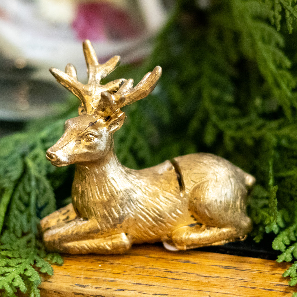 Enchanted Critter Name Card  Holder