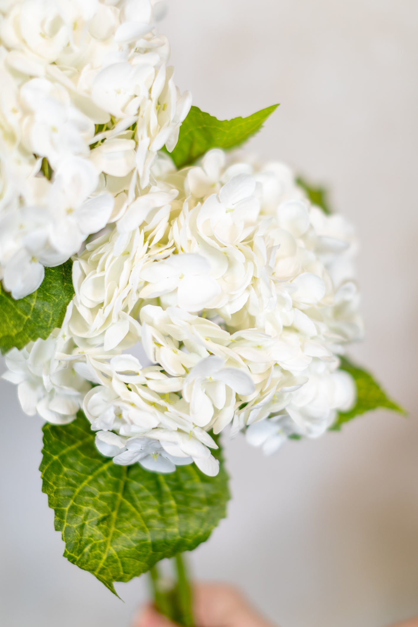 Real Touch Hydrangea Single Stem White