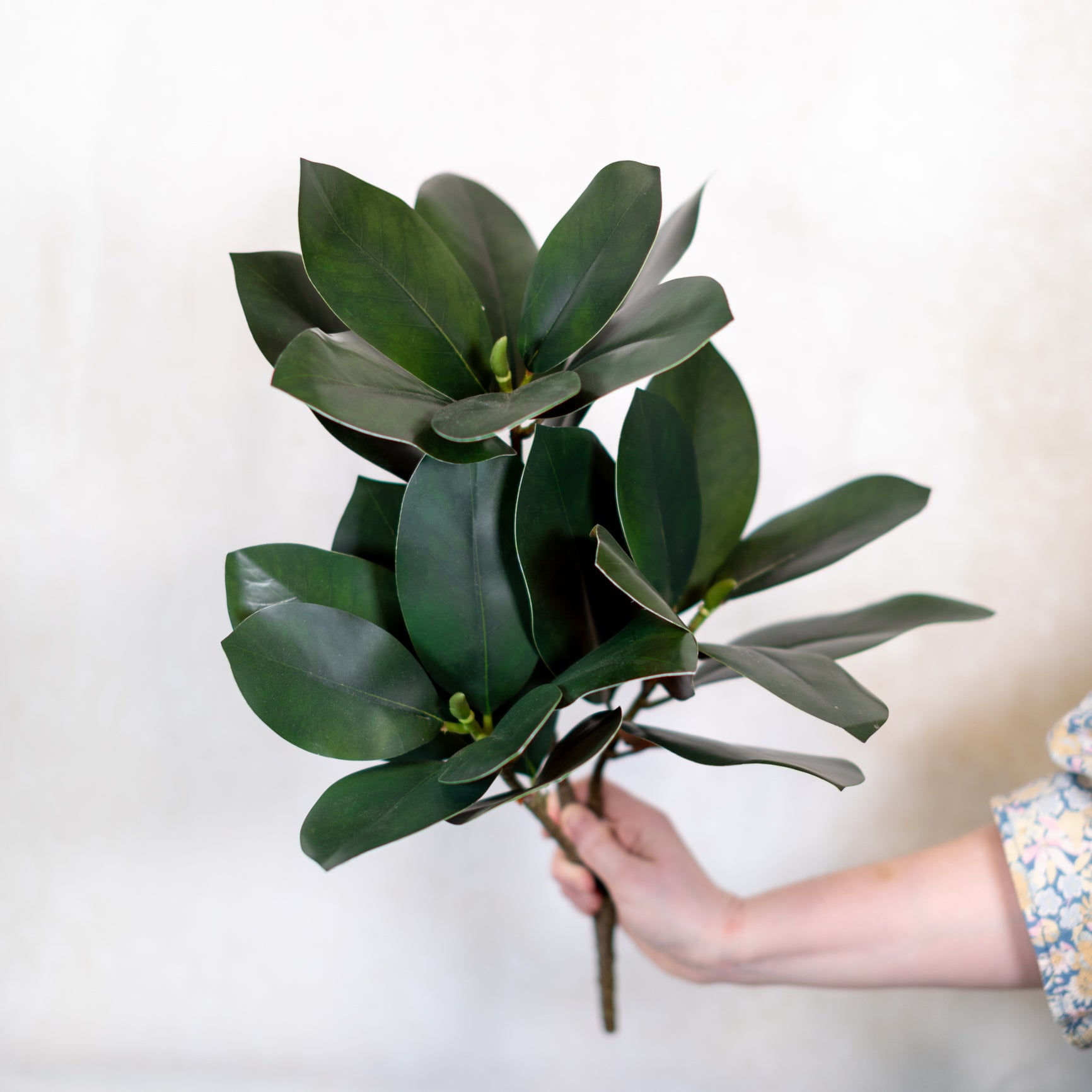 Magnolia Leaf Pick Stem