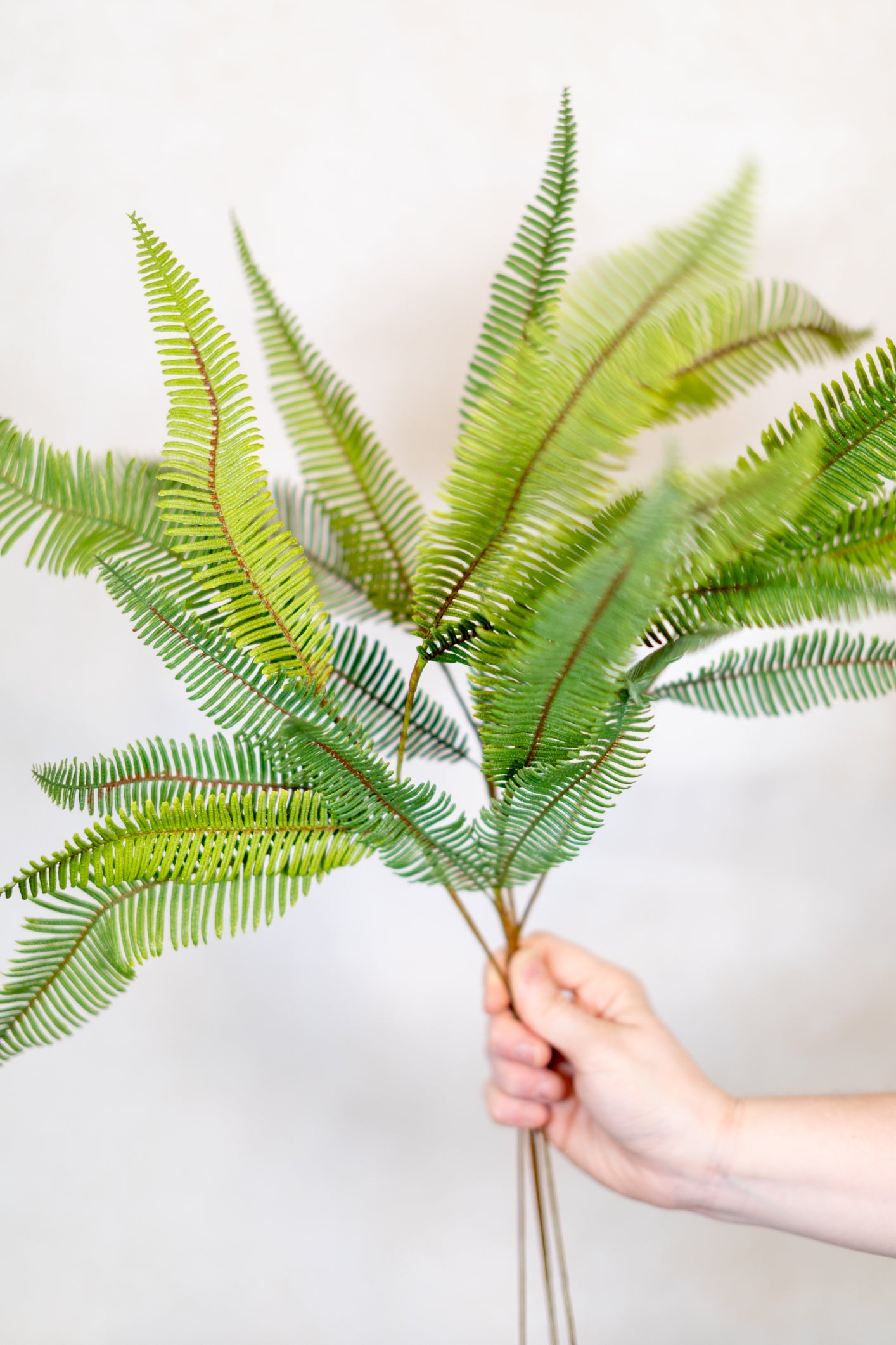 Aussie Fern Spray Light Green