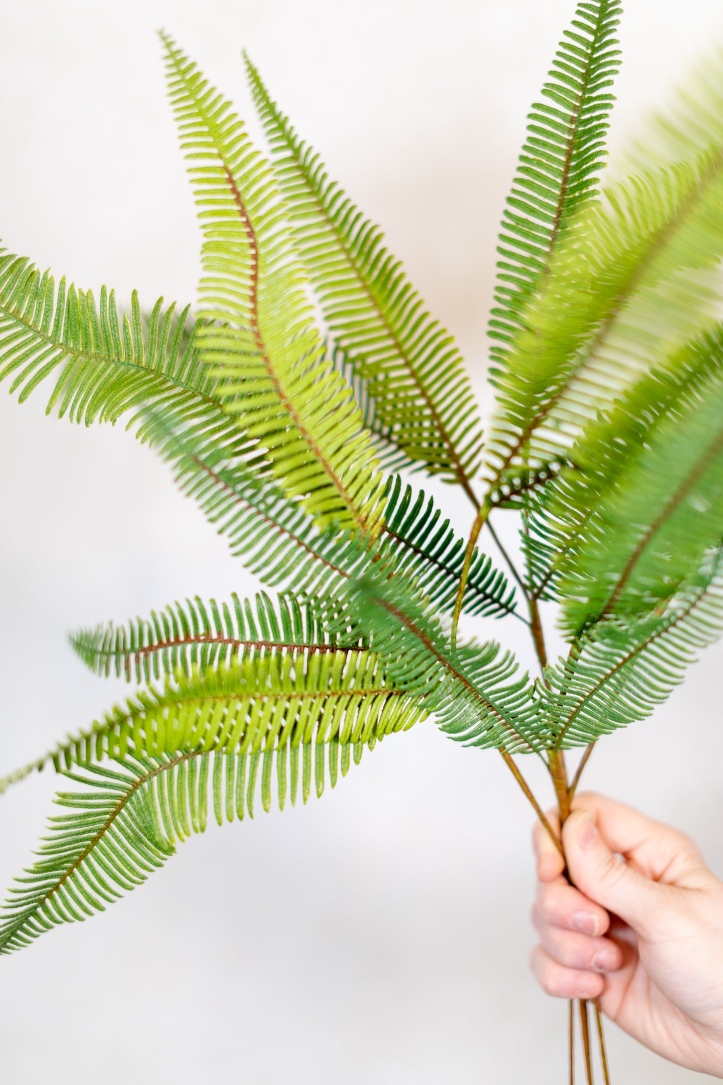 Aussie Fern Spray Light Green