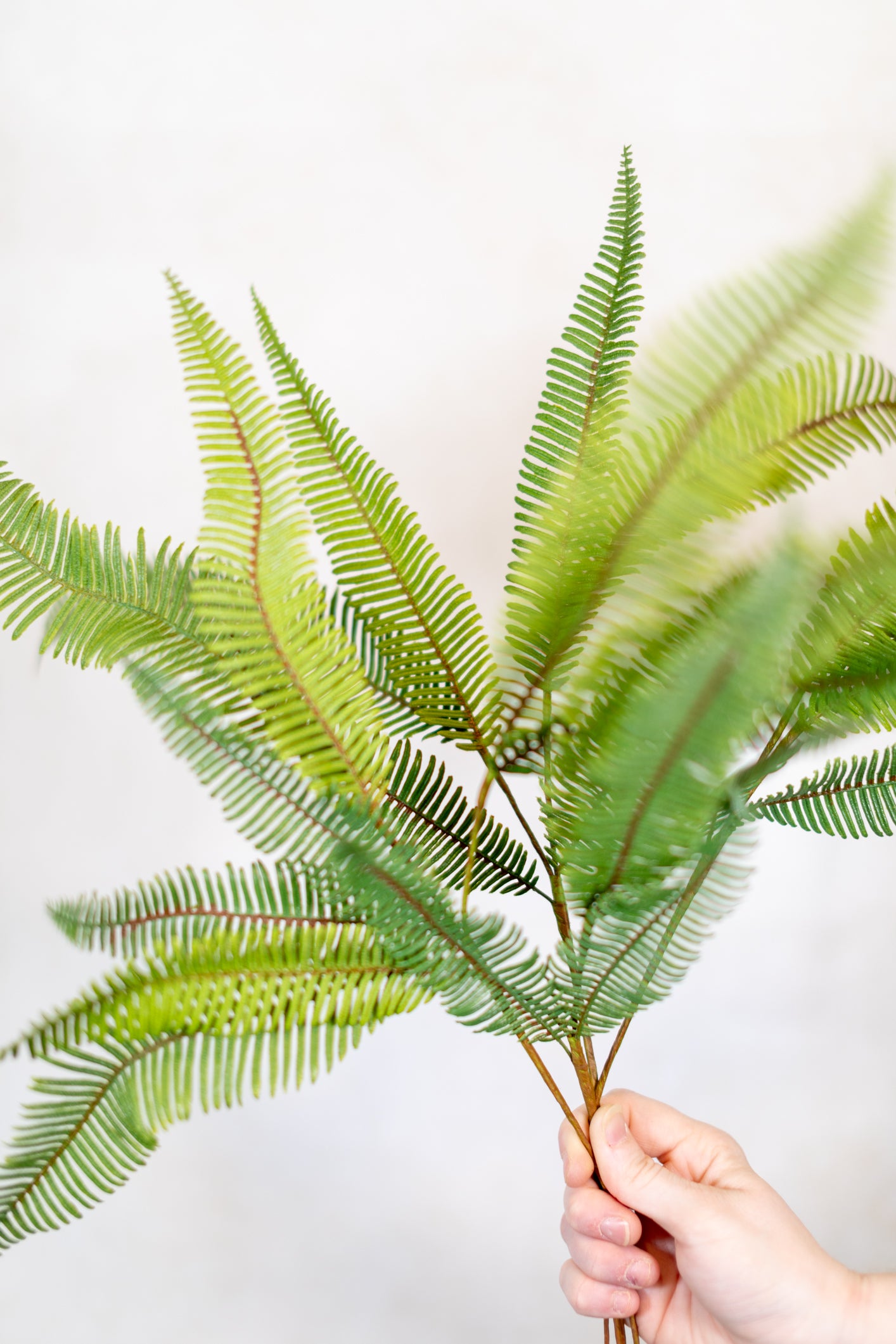 Aussie Fern Spray Light Green