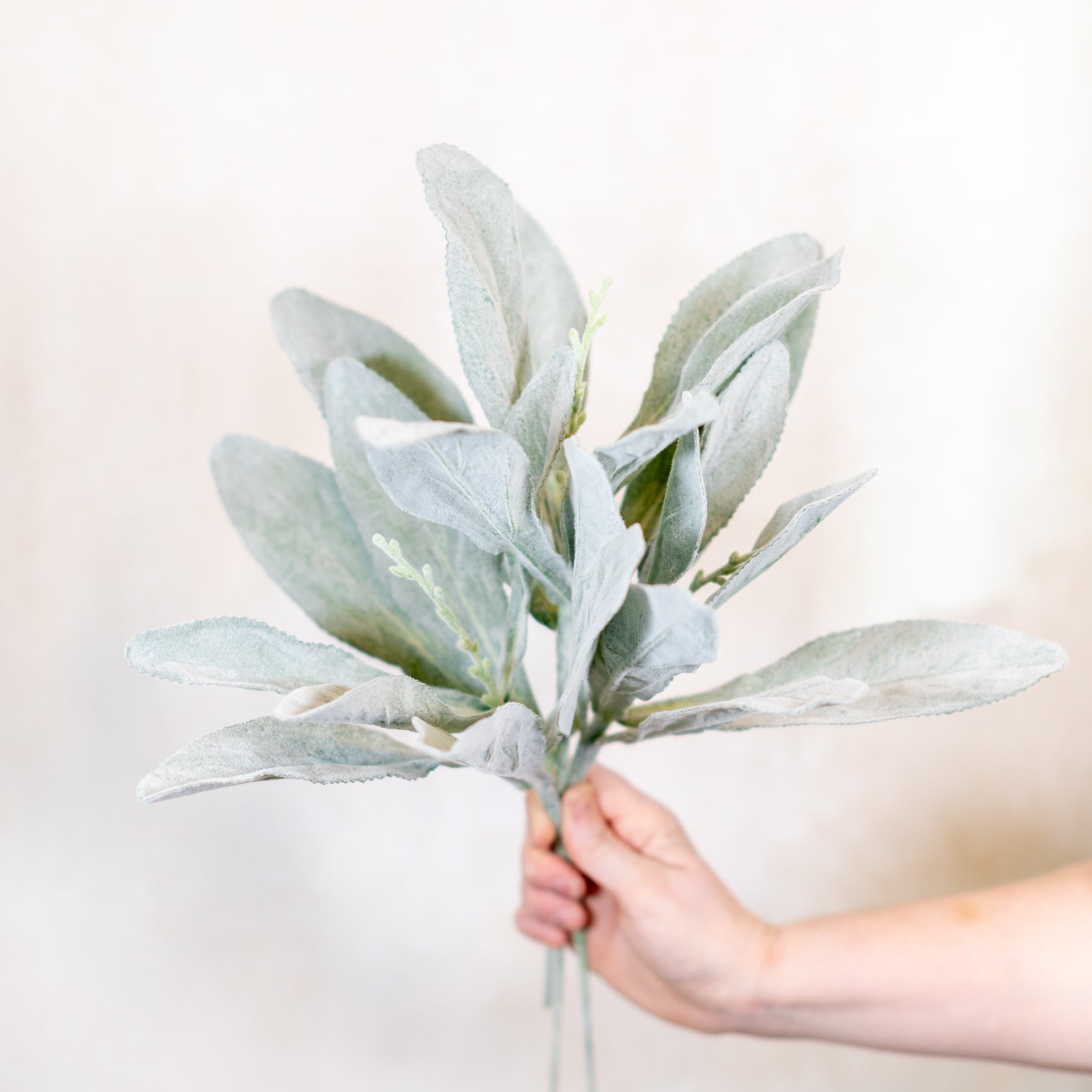 Flocked Lambs Ear Stem