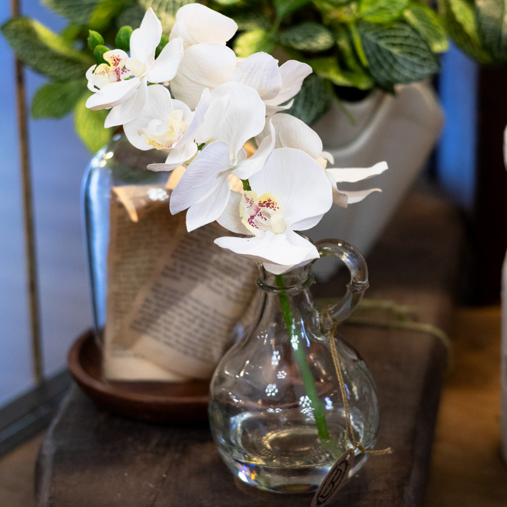 White Phalaenopsis in Glass with Handle