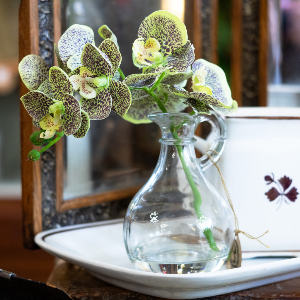 Green Phalaenopsis in Glass with Handle