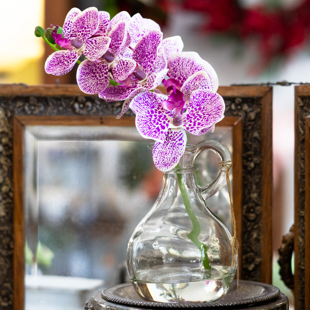 Fuchsia Phalaenopsis in Glass with Handle