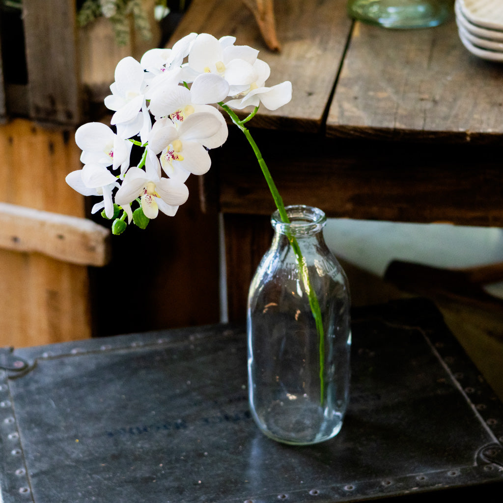 Short White Phalaenopsis Orchid Spray