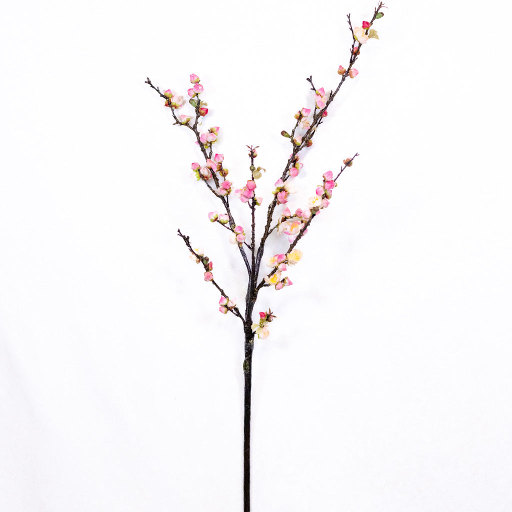 Pink Cherry Blossom Branch
